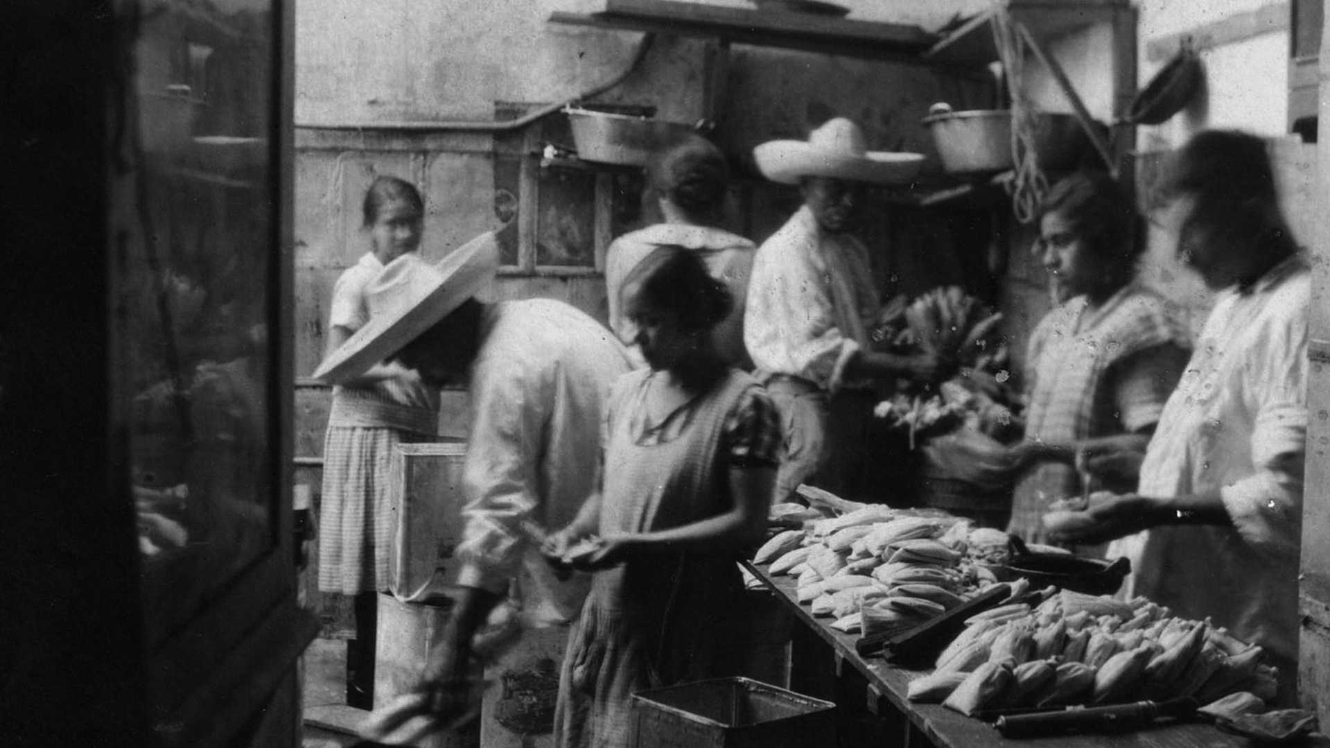 01 - Flor de Lis - Antigua 1920